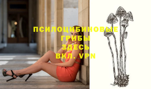 стафф Абинск