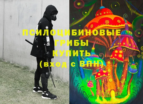 стафф Абинск