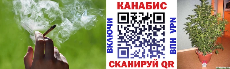 Бошки Шишки тримм  гидра как войти  Елизаветинская 