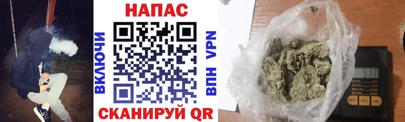 Конопля OG Kush Елизаветинская